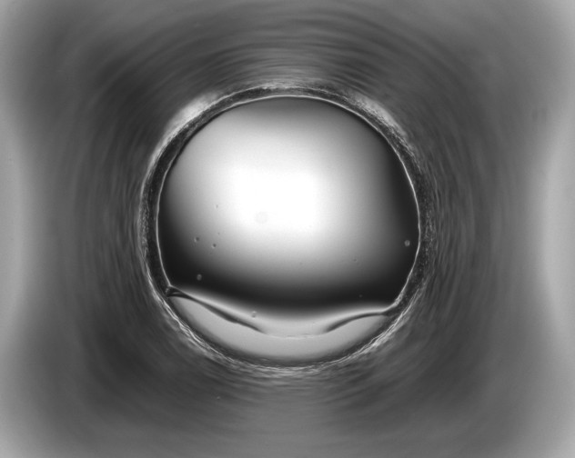 X0000085071122200703191255