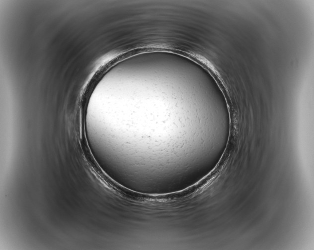 X0000085071123200703191255