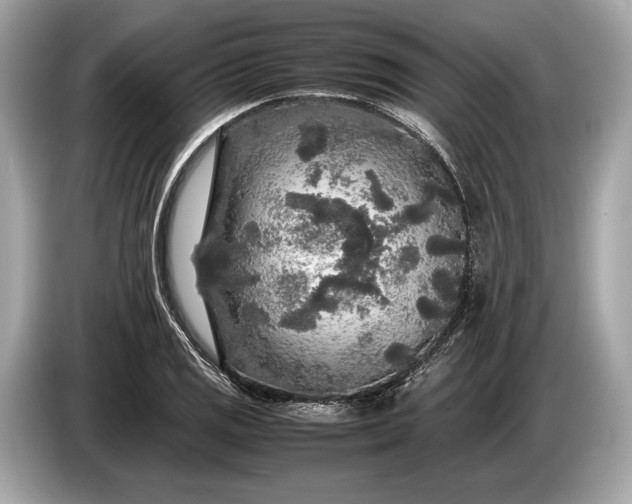 X0000085071125200703191255