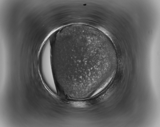 X0000085071127200703191255