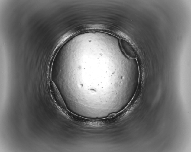 X0000085071129200703191255