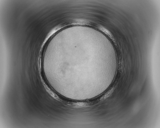 X0000085071130200703191255