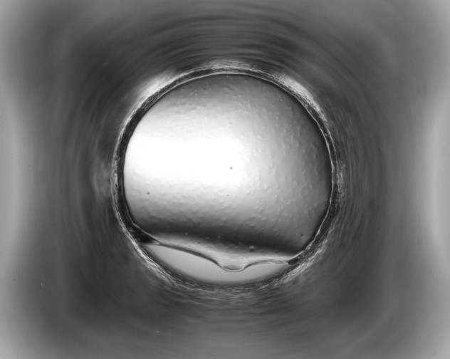 X0000085071133200703191255