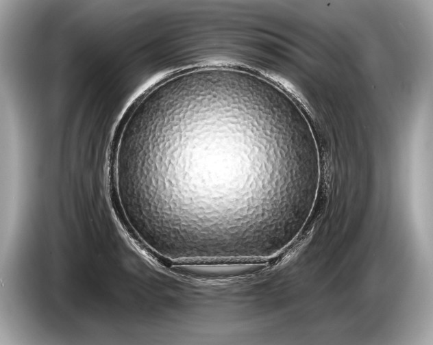 X0000085071134200703191255