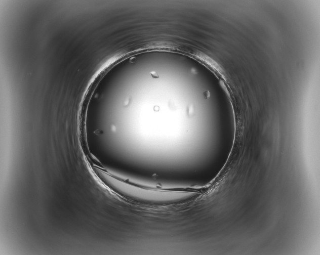 X0000085071135200703191255