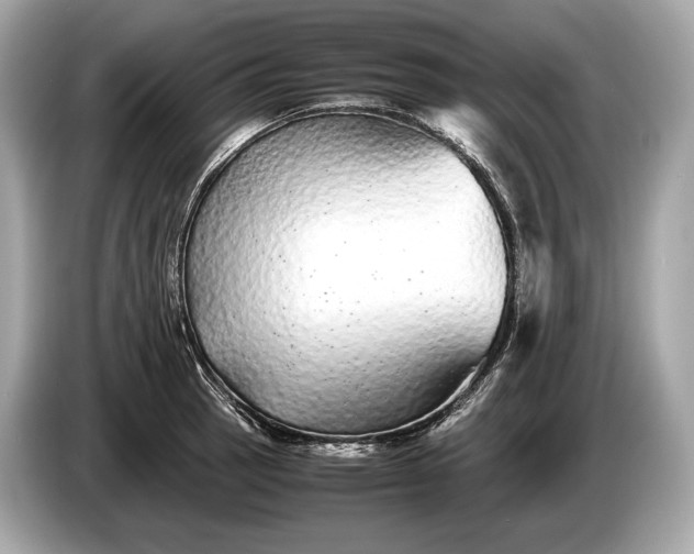 X0000085071137200703191255