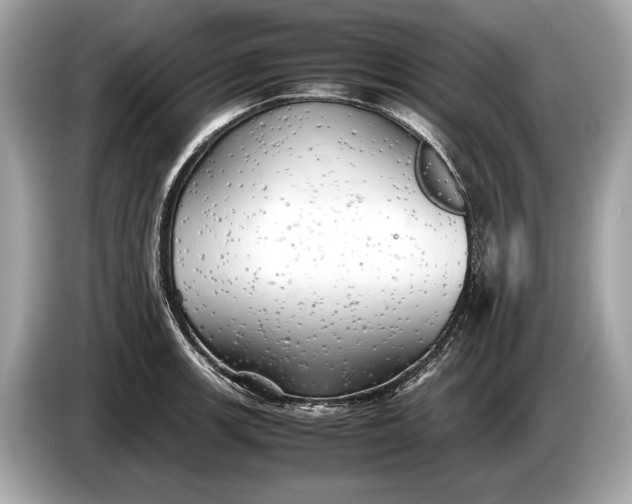 X0000085071139200703191256