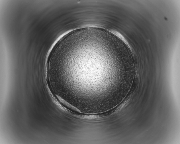 X0000085071140200703191256