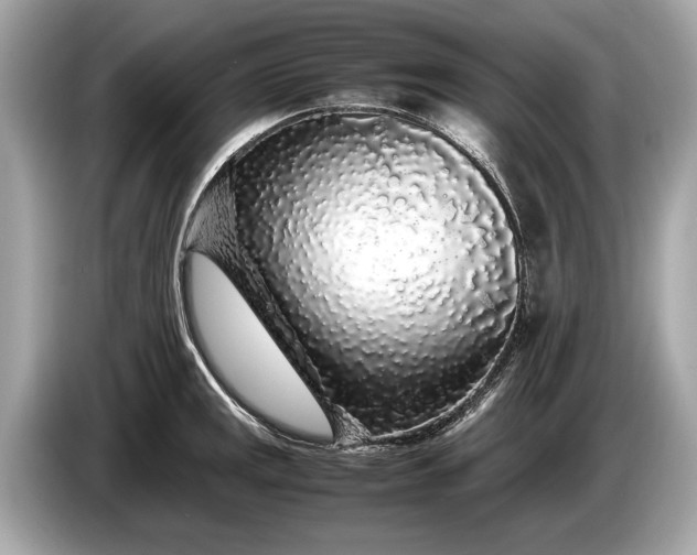 X0000085071141200703191256