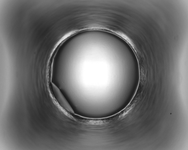 X0000085071142200703191256