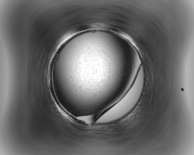 X0000085071143200703191256