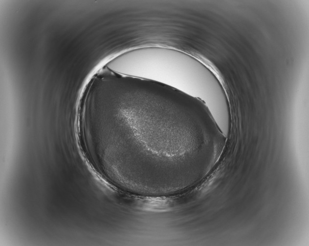 X0000085071144200703191256