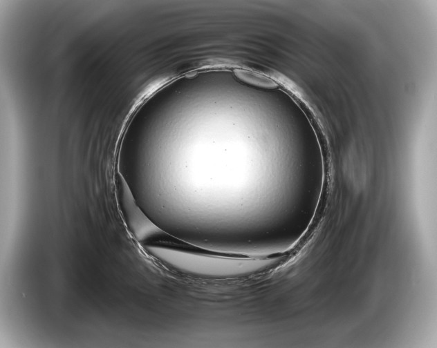 X0000085071145200703191256