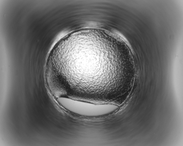 X0000085071146200703191256