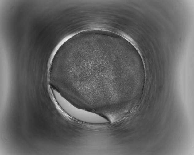 X0000085071152200703191256