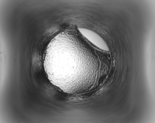 X0000085071156200703191255