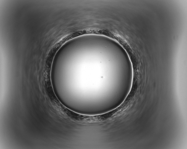 X0000085071159200703191255