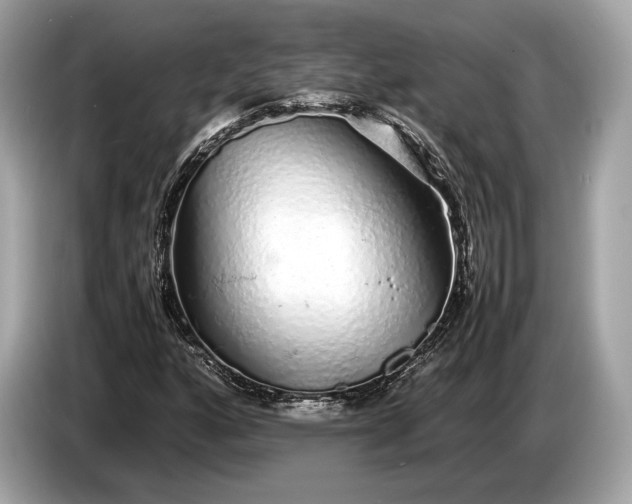 X0000085071160200703191255