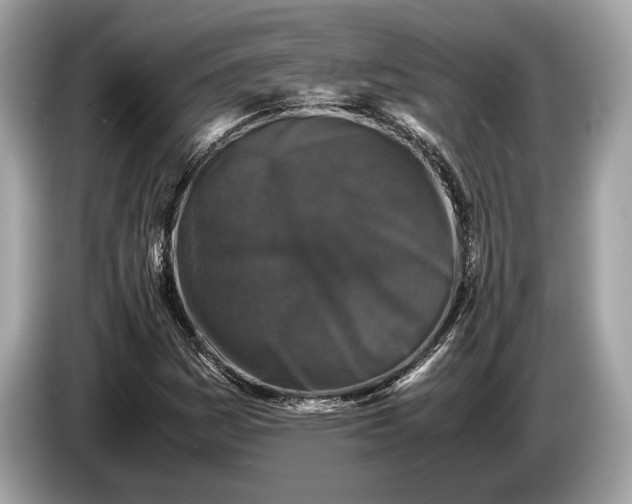 X0000085071161200703191255