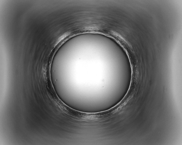 X0000085071162200703191255