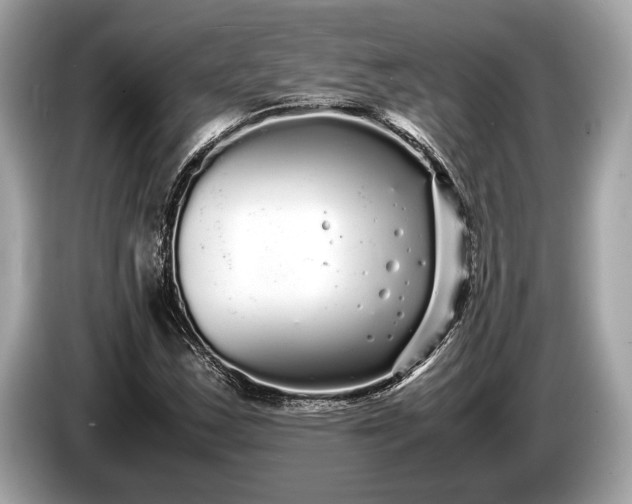 X0000085071163200703191255