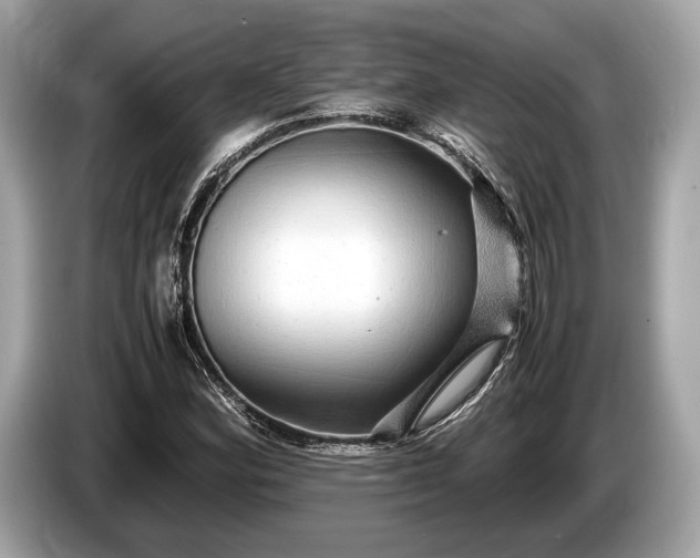 X0000085071164200703191255