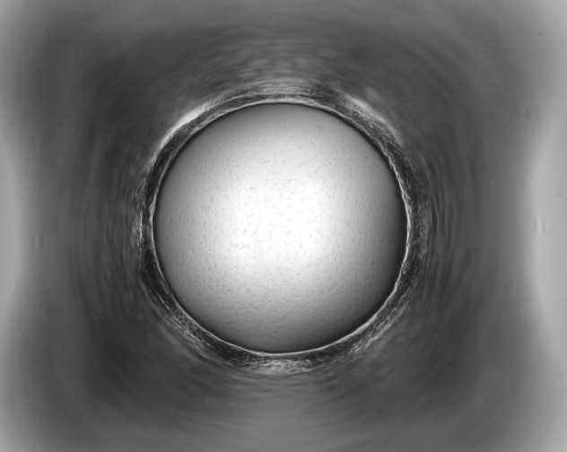 X0000085071166200703191255