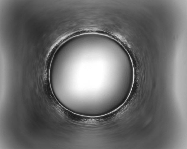 X0000085071167200703191255