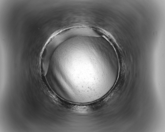 X0000085071168200703191255