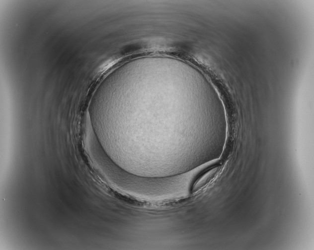 X0000085071169200703191255