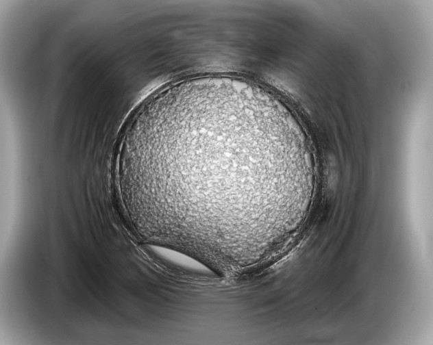 X0000085071170200703191255