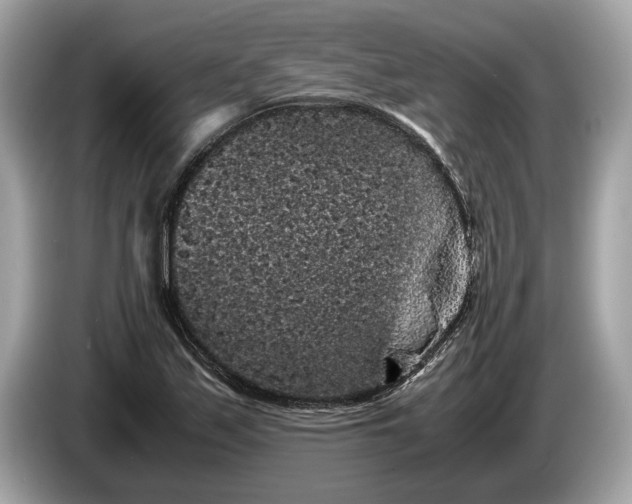 X0000085071171200703191255