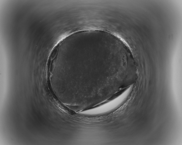 X0000085071173200703191255