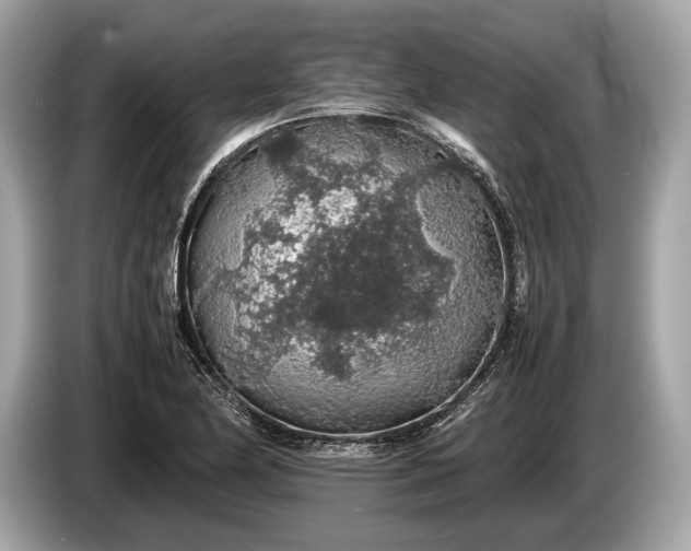 X0000085071174200703191255