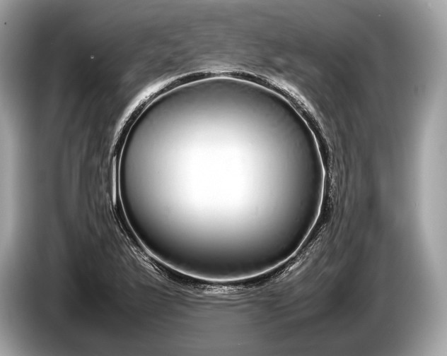 X0000085071175200703191255