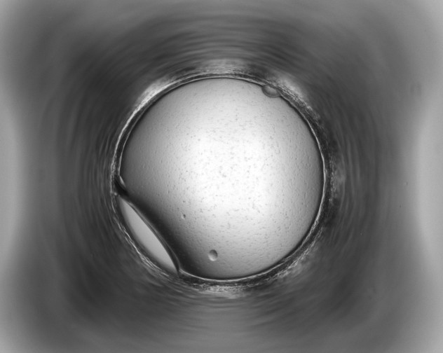 X0000085071178200703191255