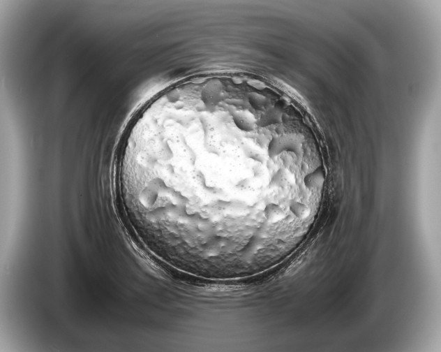 X0000085071179200703191255