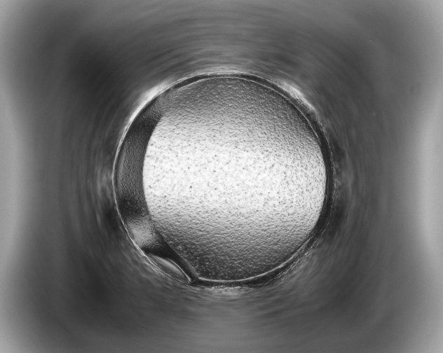 X0000085071181200703191254