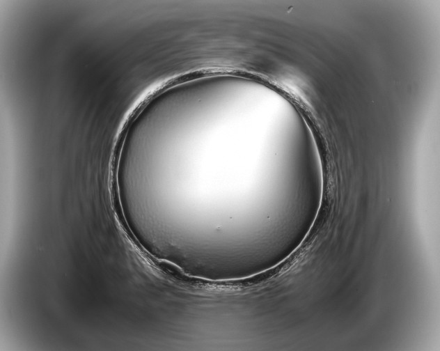 X0000085071183200703191254