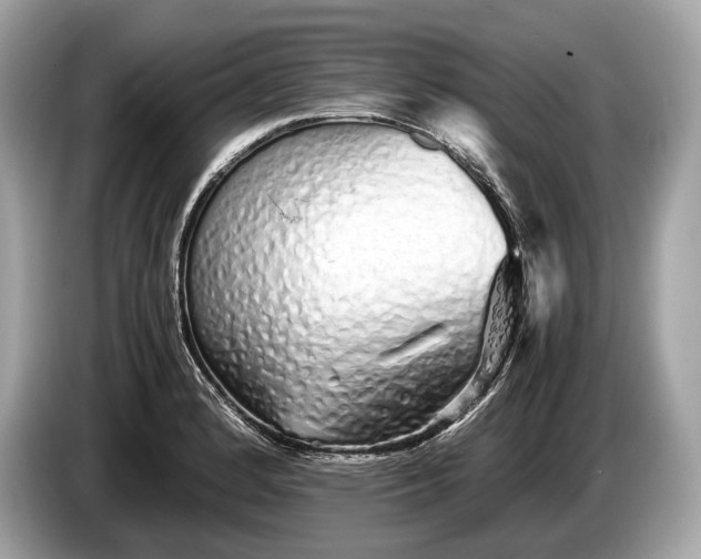 X0000085071184200703191254