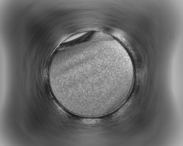 X0000085071185200703191254