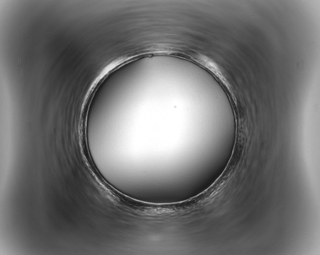 X0000085071187200703191254