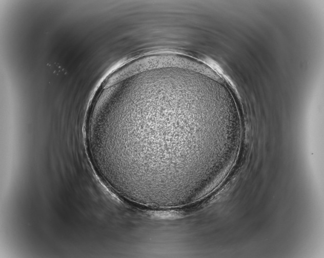 X0000085071189200703191254