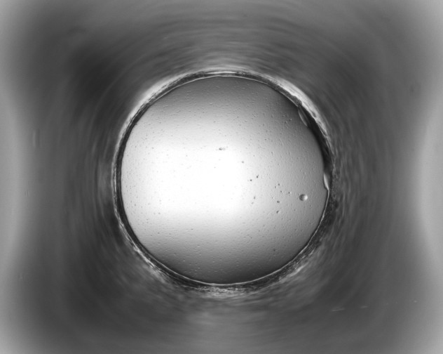 X0000085071191200703191254