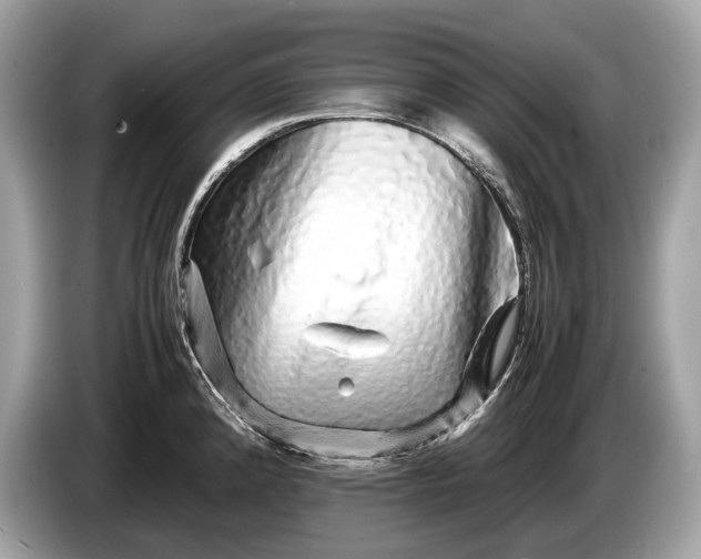 X0000085071192200703191254