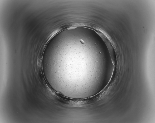 X0000085071193200703191254