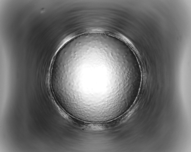 X0000085071194200703191254