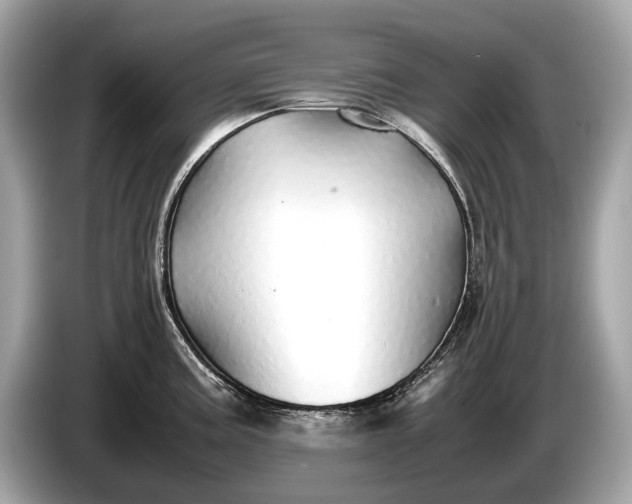 X0000085071195200703191254