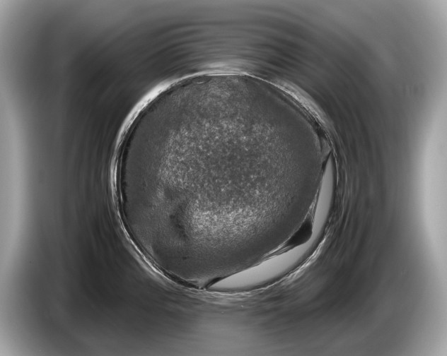 X0000085071196200703191254