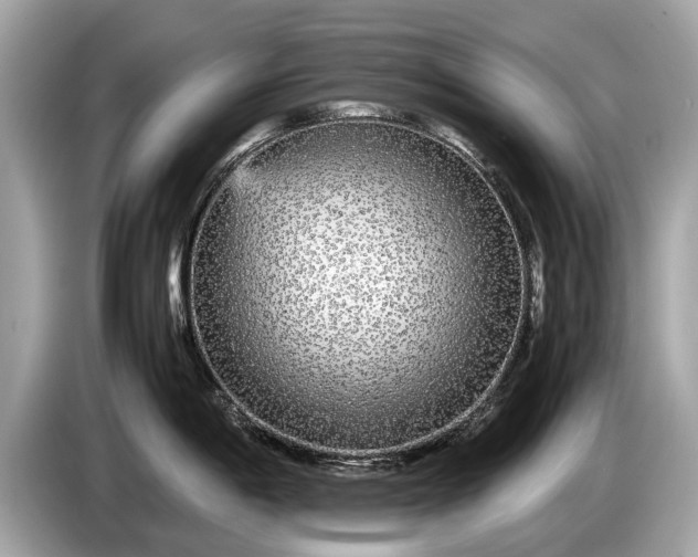 X0000085071198200703191254